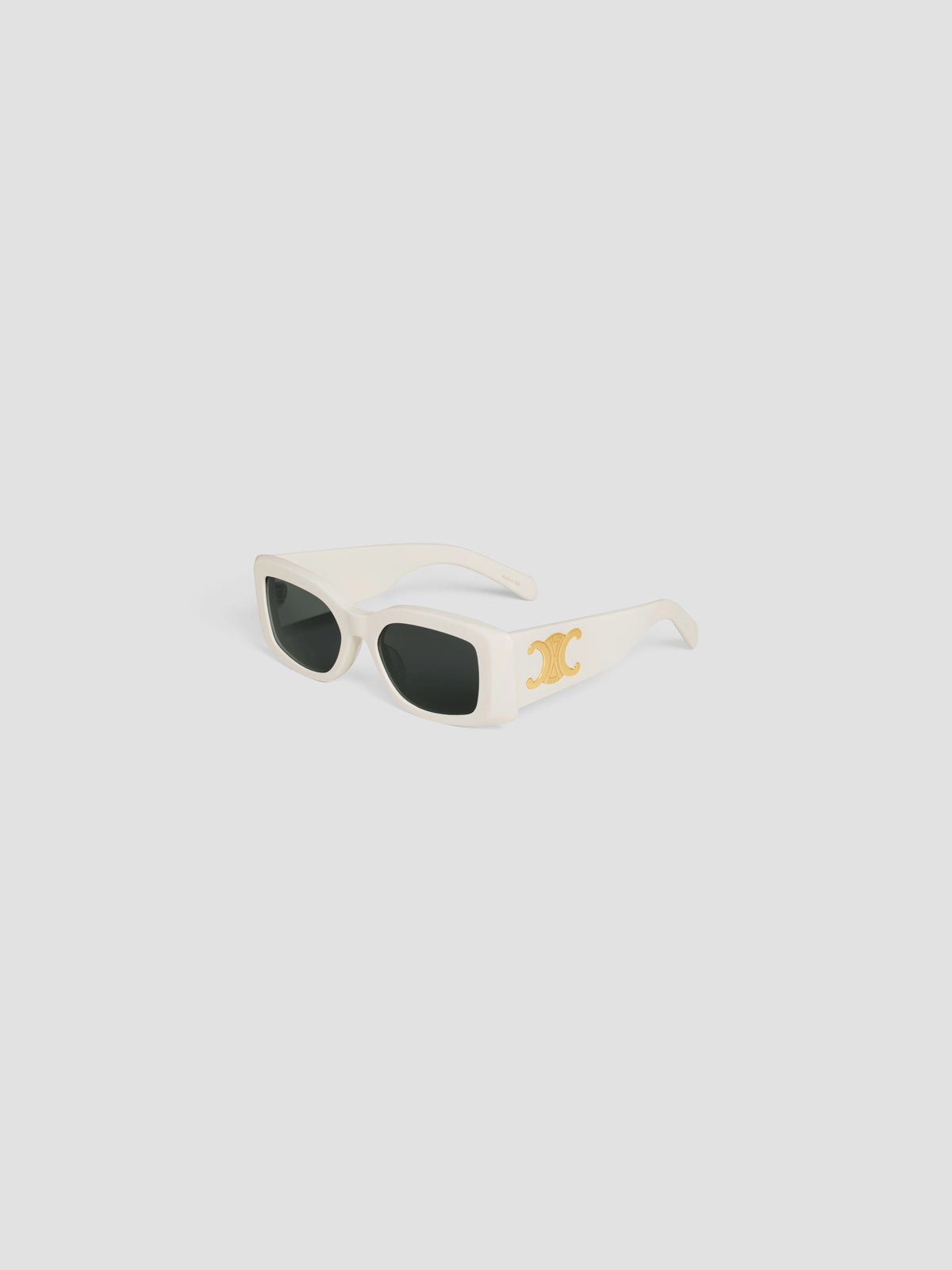 CELINE TRIOMPHE XL 01 SUNGLASSES IN ACETATE